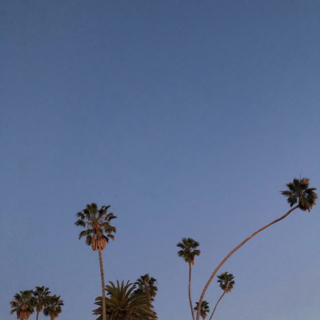 MF DOOD (Instrumental Version)