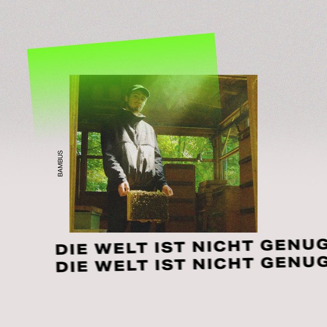 Die Welt ist nicht genug