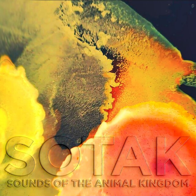Sounds of the Animal Kingdom