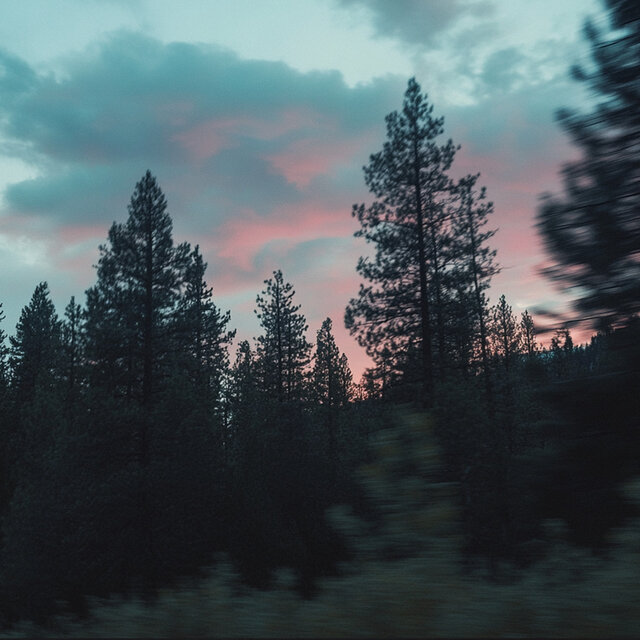 Distant