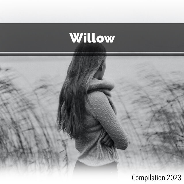 Willow Compilation 2023