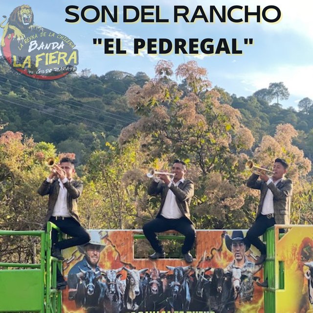 Son del Rancho El Pedregal