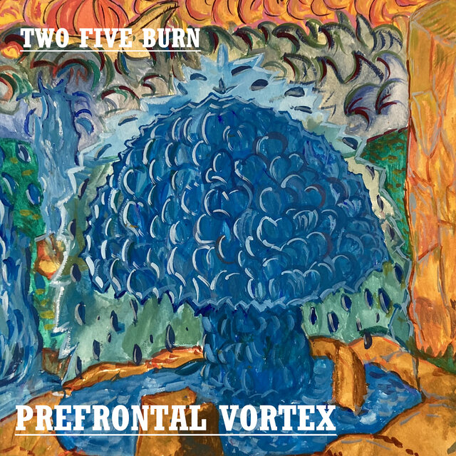 Prefrontal Vortex
