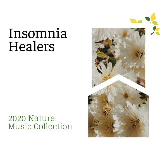 Insomnia Healers - 2020 Nature Music Collection