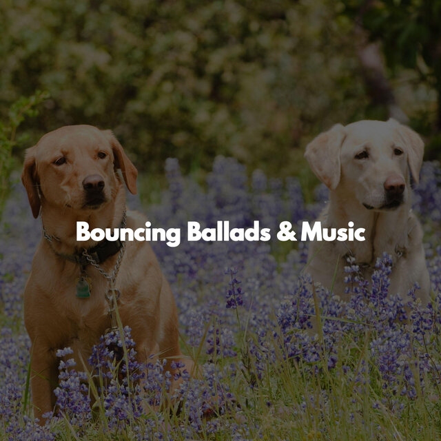 Bouncing Ballads & Music