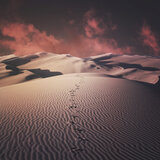 Footprints