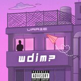 WDIM