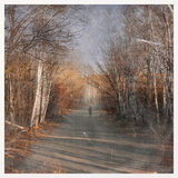 Calescent