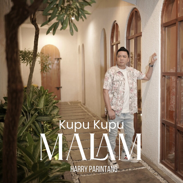 Kupu Kupu Malam
