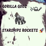 Starships Rockets