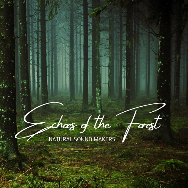 Echoes of the Forest