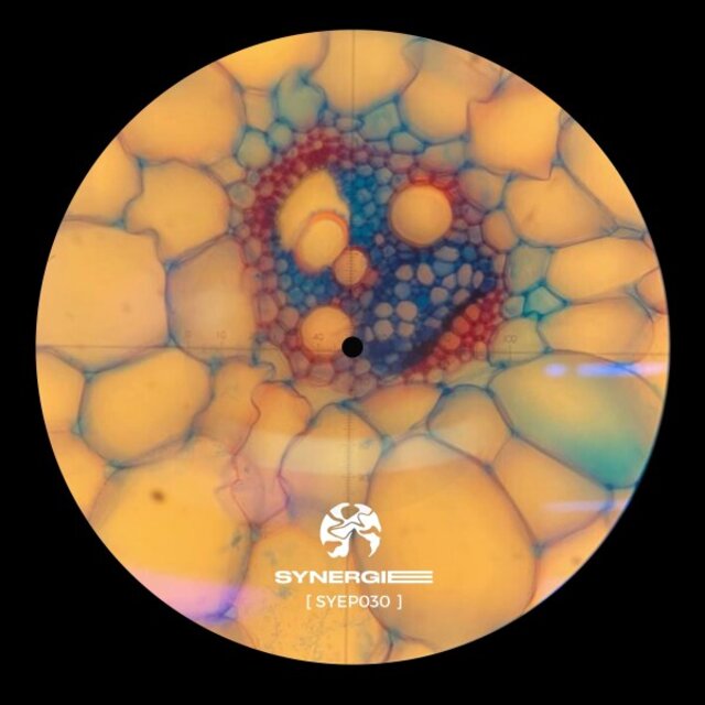 Disclosure Pattern (Syep030)