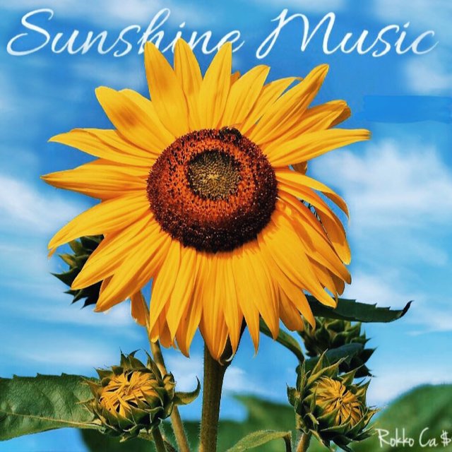 Sunshine Music