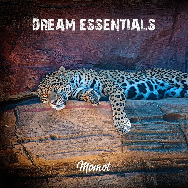 Dream Essentials