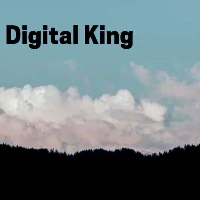 Digital King