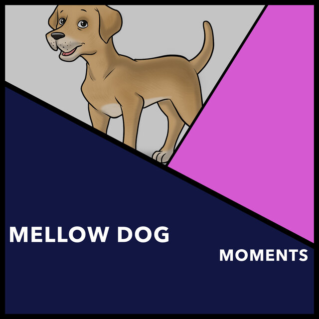 Mellow Dog Moments
