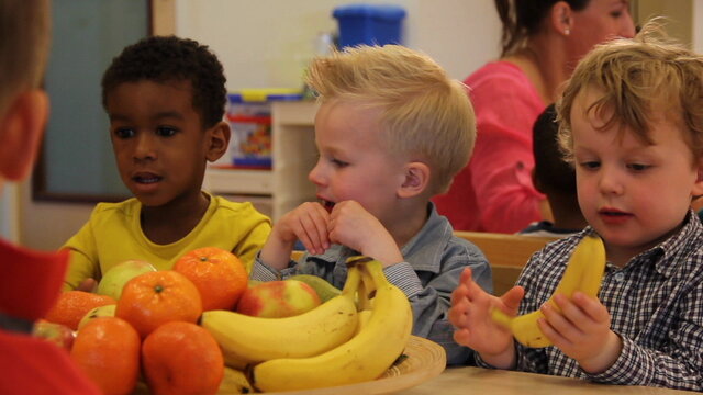 Het Fruitlied