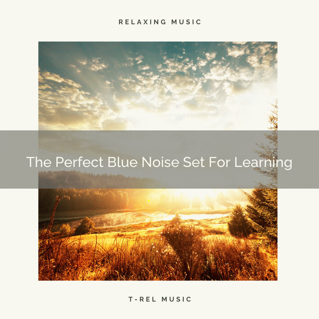 The Perfect Blue Noise Set For Learning