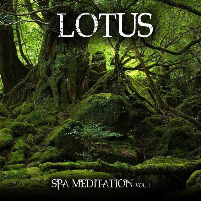 Spa Meditation, Vol..1