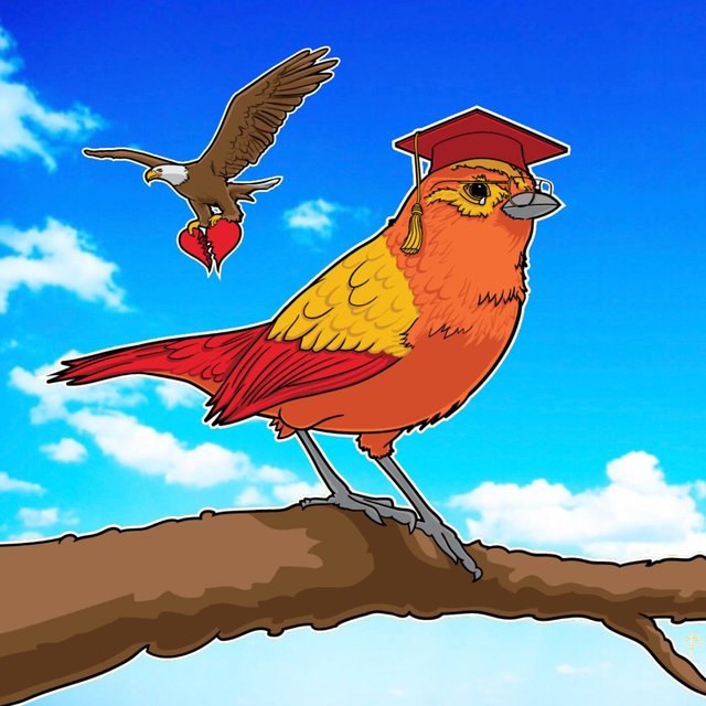 Little Bird