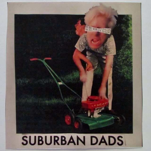 Lawns