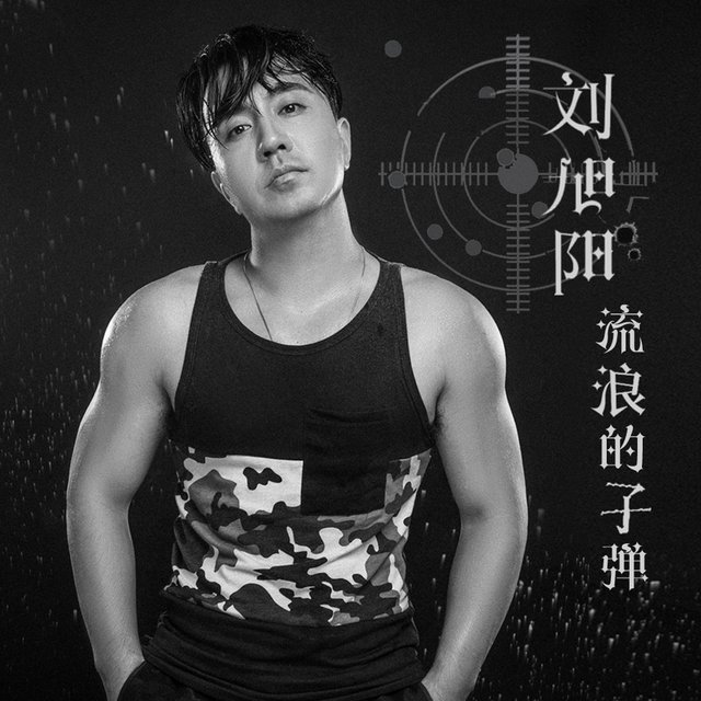 流浪的子弹