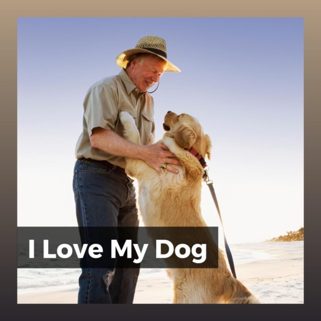 I Love My Dog