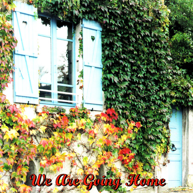 We Are Going Home