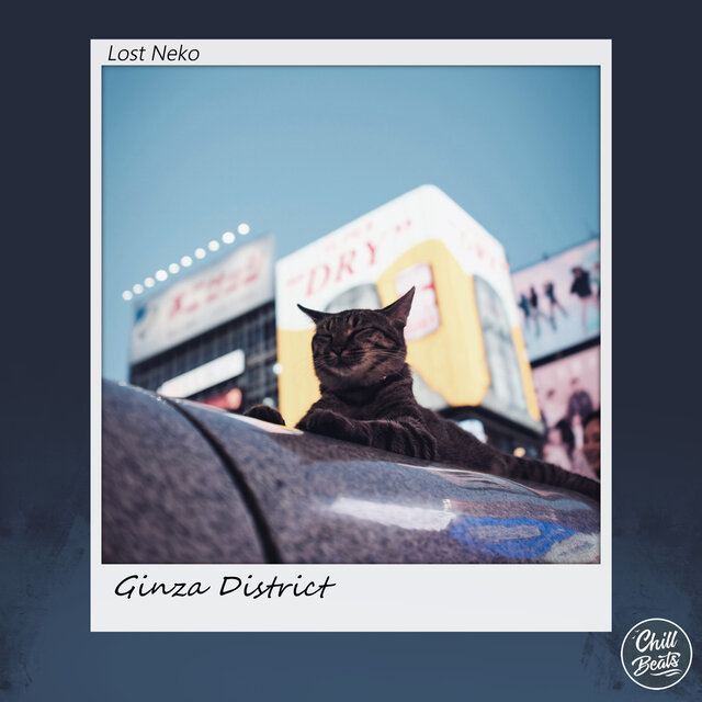 Ginza District