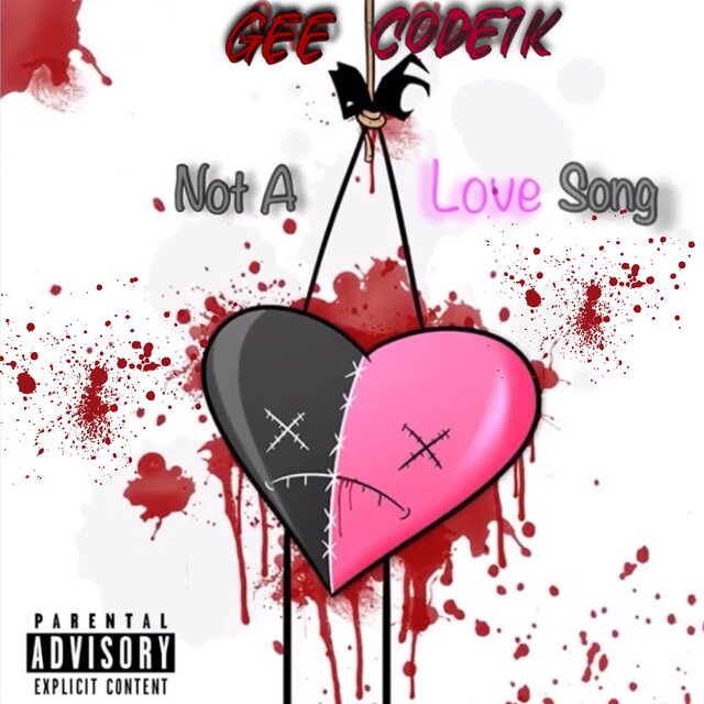 NOT A LOVE SONG