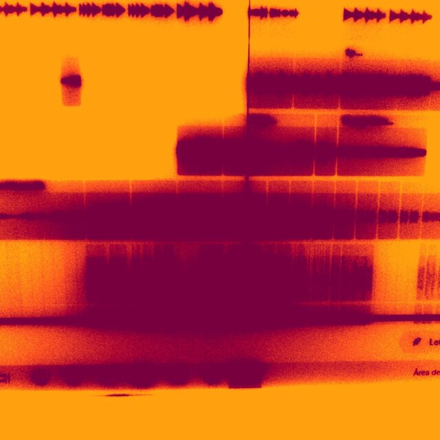 Experimento