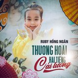 20 Năm Tình Đẹp Mùa Chôm Chôm
