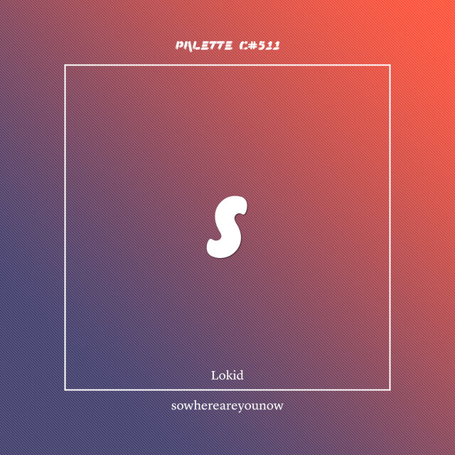 PALETTE C#511.