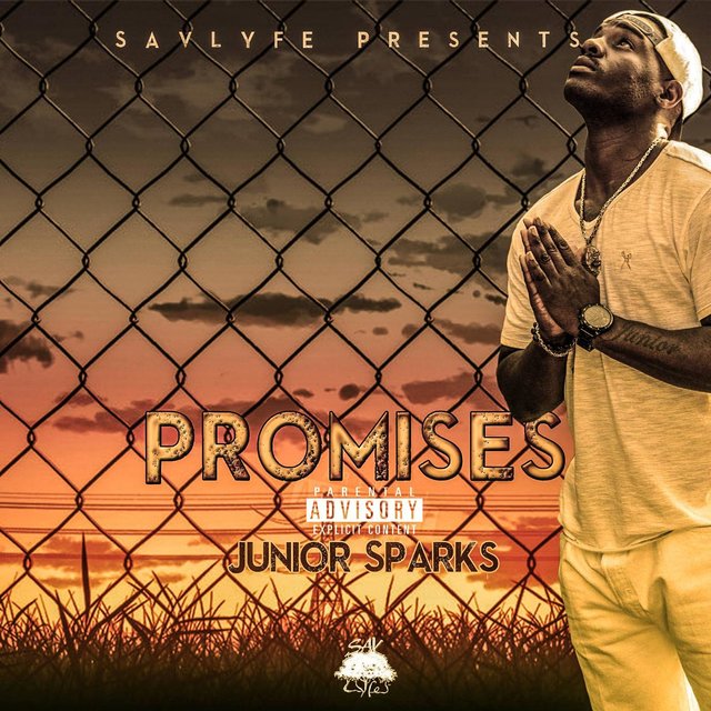 Promises