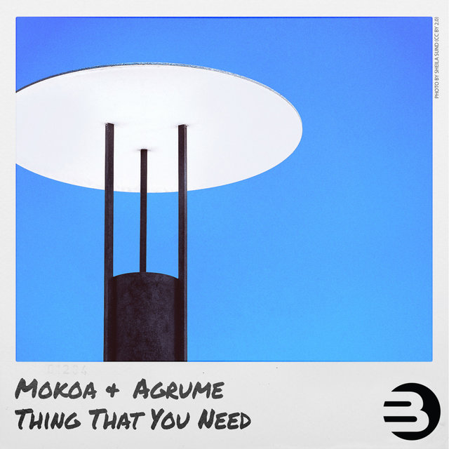Thing That You Need