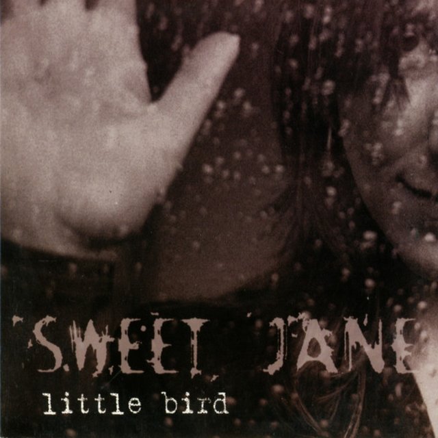 Little Bird
