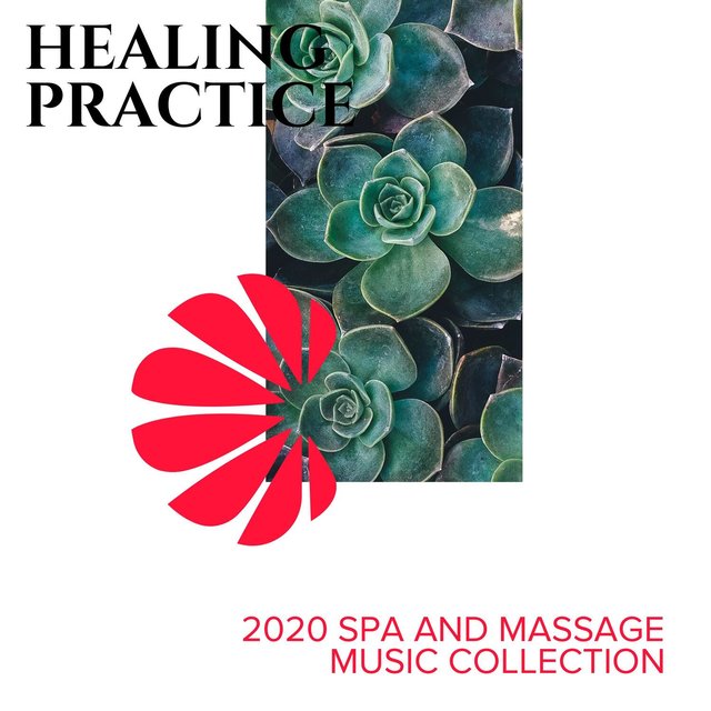 Healing Practice - 2020 Spa and Massage Music Collection
