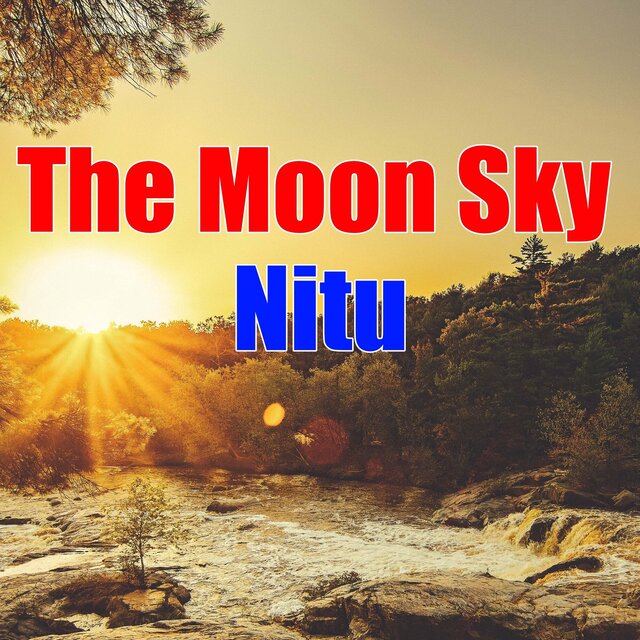 The Moon Sky