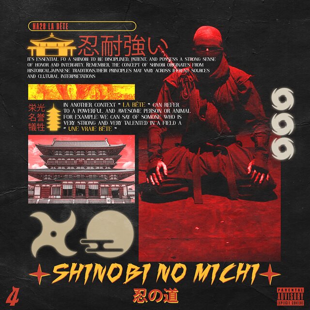 Shinobi No Michi