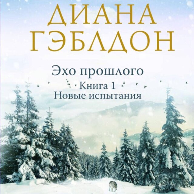 Эхо прошлого. Новые испытания (Книга 1)