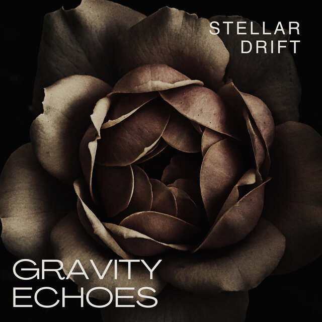 Gravity Echoes
