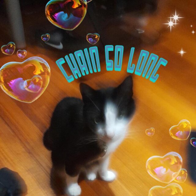 CHAIN SO LONG (feat. Dexteeeeer)