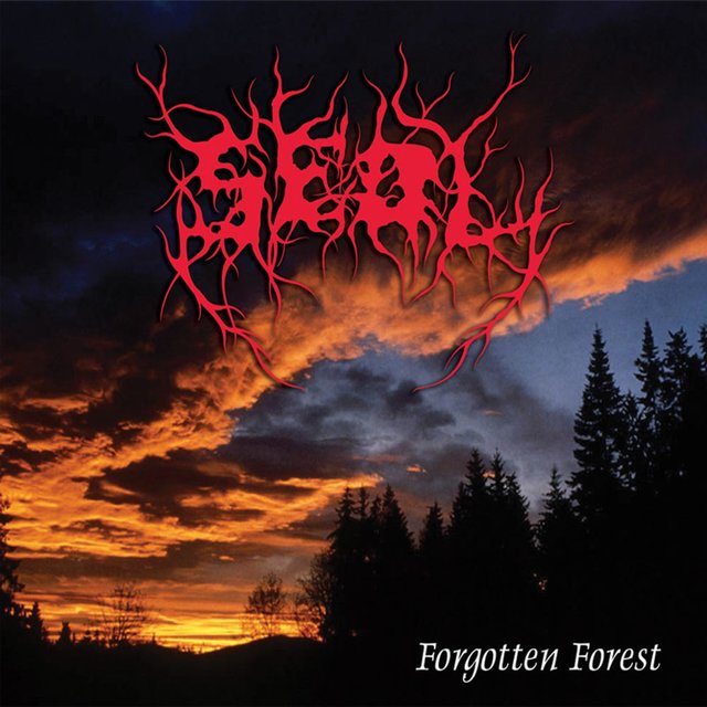 Forgotten Forest