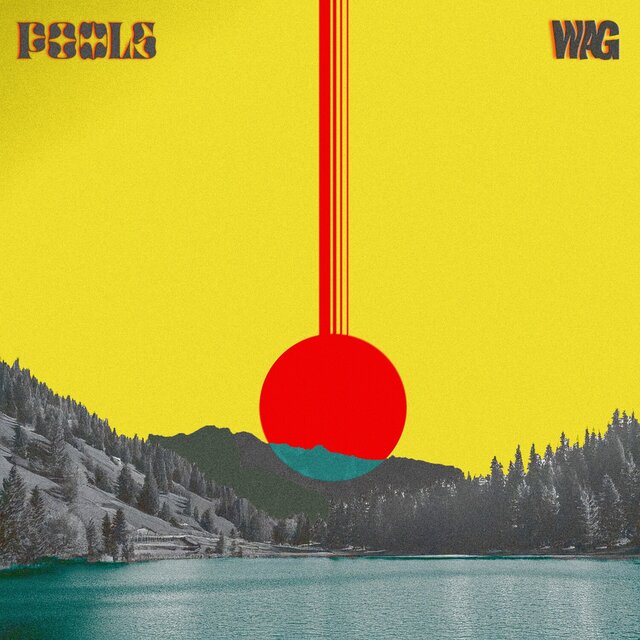 Cover art for album  by Pools