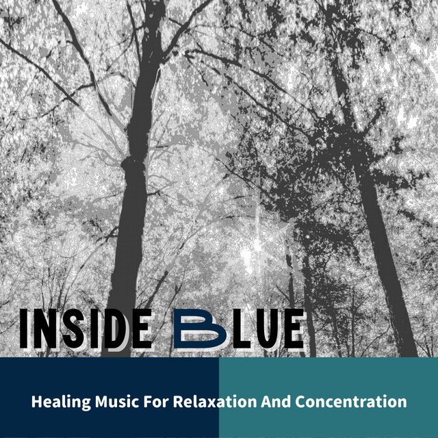 Healing Music For Relaxation And Concentration