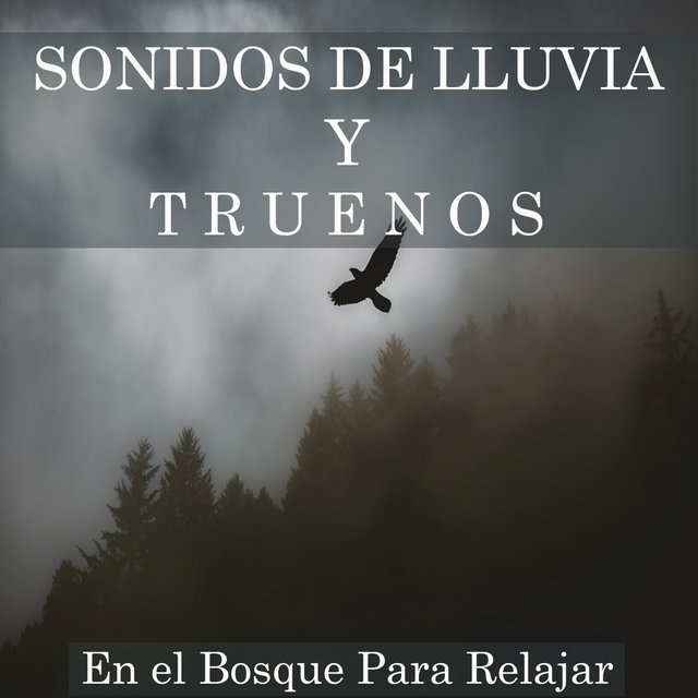 Sonidos de Lluvia en el Bosque Para Relajar