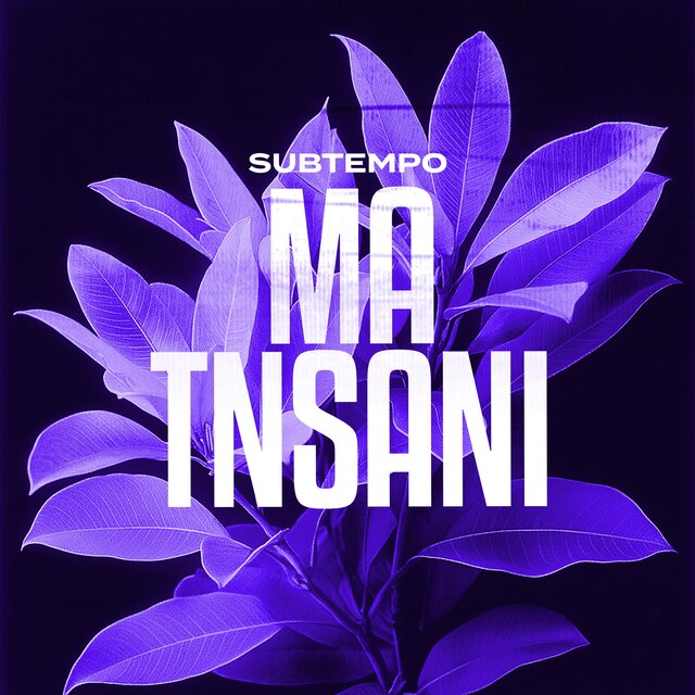 MA TNSANI (DnB)