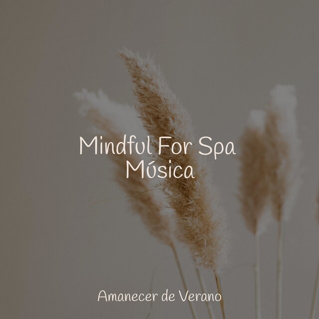 Mindful For Spa Música