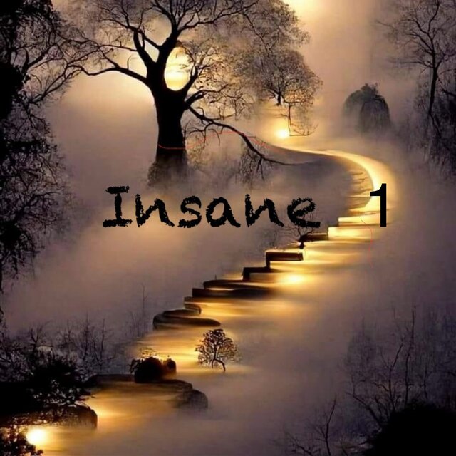 Insane 1