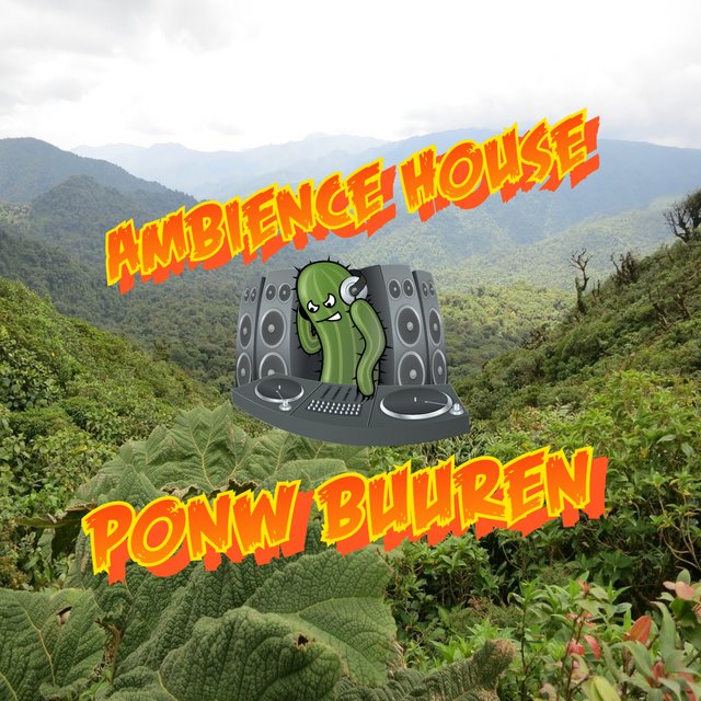 Ambience House